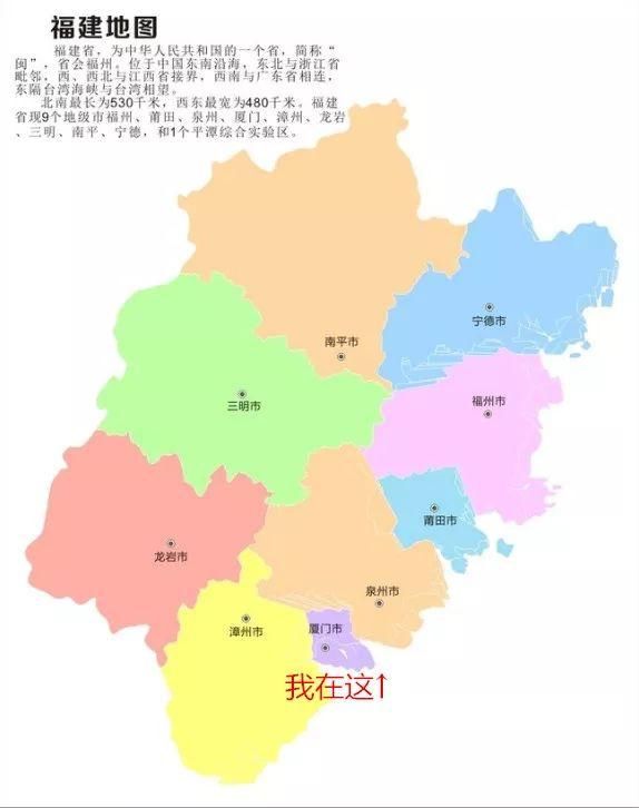 厦门第一美女找工作，简历震惊全福建!快看她是谁…