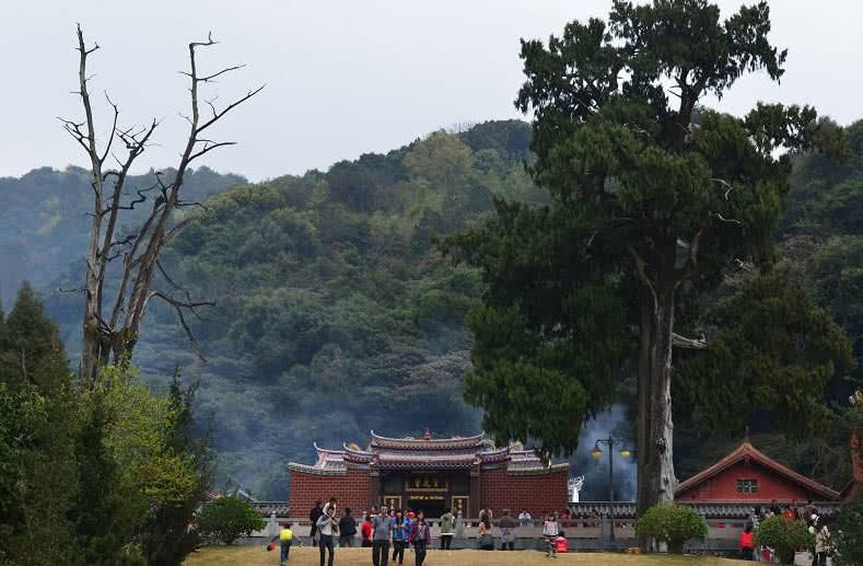 广东四大名寺之一的梅州灵光寺 中国这对"生死树",不