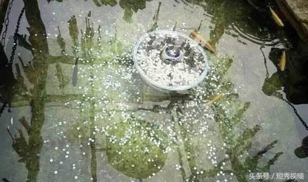 涨知识！你知道撒向景点的硬币最后都去了哪吗？