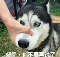 关于小学生跳绳