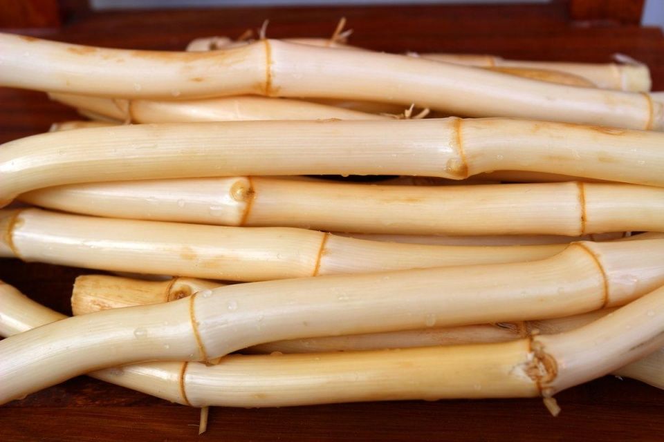 湿疹民间治疗偏方大全,你的湿疹全靠它了!