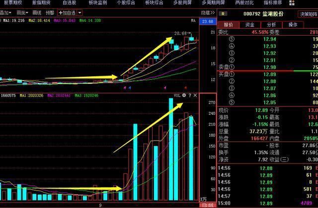 中国股市闹了个国际大笑话，主力机构全部叛变，散户：退市算了！