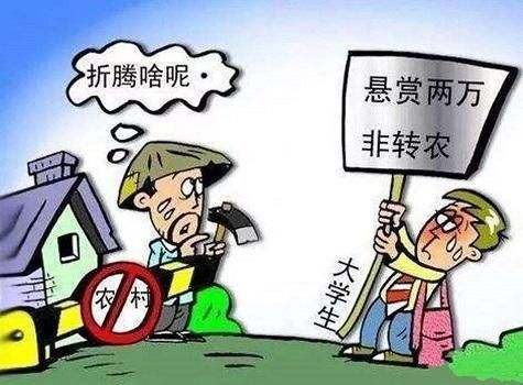 农民手里有3个宝贝，未来升值空间大，农民要保护好，给钱也别换