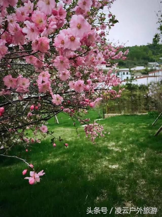 青春在路上，毕业旅行记一一西北七天大环线