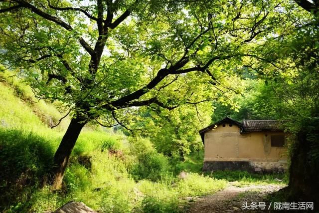 这个夏天，来甘肃徽县龙潭坝寻觅一片诗意山水