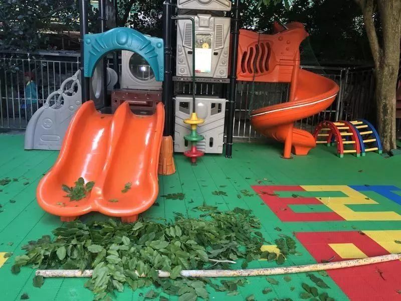 钢管从天而降坠落海口一幼儿园! 袁隆平新水稻