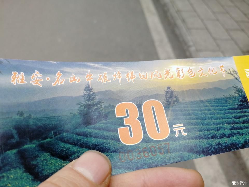 参观牛碾坪万亩观光茶