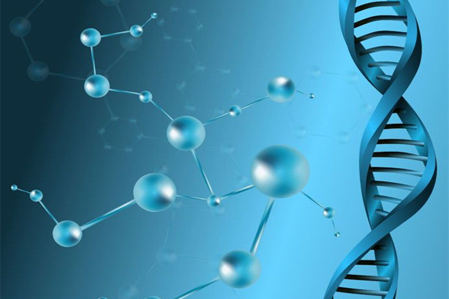 创新药即将迎来井喷，进口化药数量达十年之最