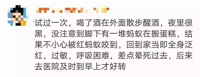 被几只蚂蚁咬伤后，男子竟被送进抢救室！医生说出了背后的真相