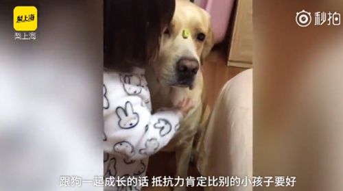 2岁女娃抱狗猛亲!网友:这是最美好的回忆!