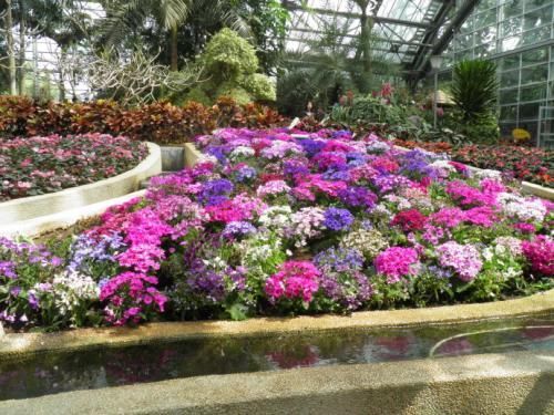 重庆十大最适合一家人去的景点,最好玩的是这个地方,你去了吗