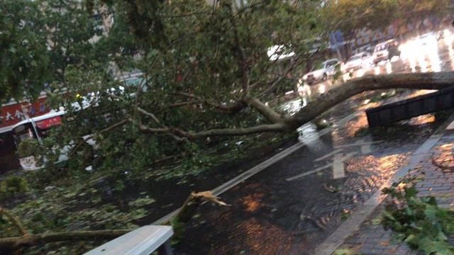 青岛突降大雨加冰雹，城市满地狼藉，车玻璃被毁，很多市民被砸哭