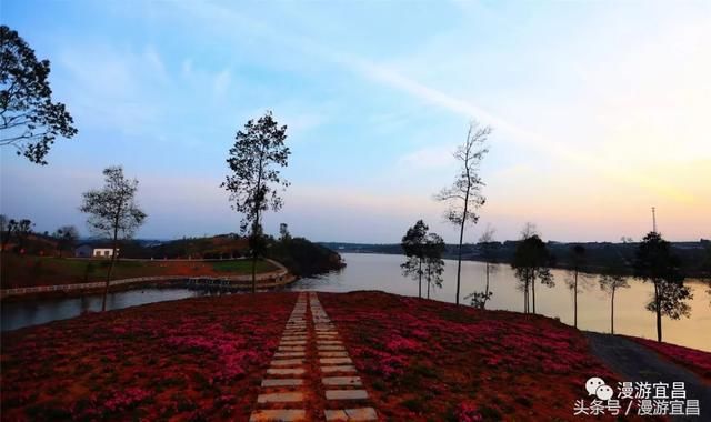 湖北宜昌：夕阳下的湖边露营，浪漫至极！