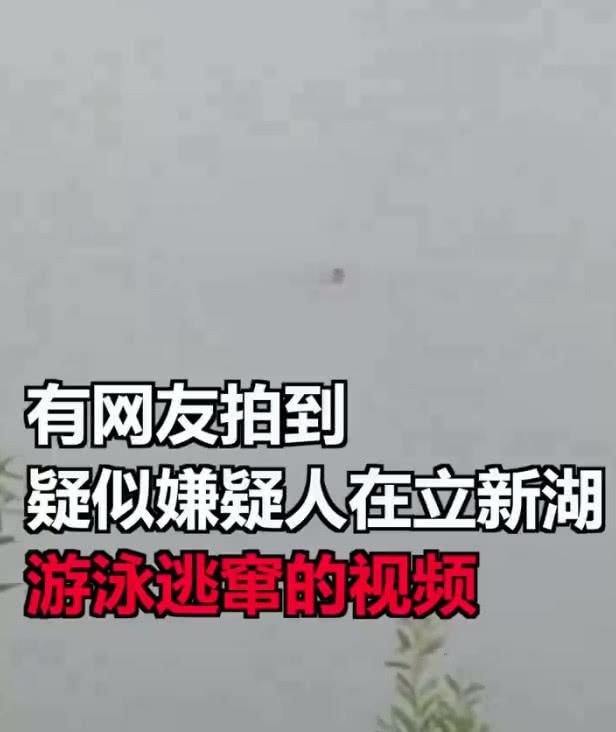 深圳凤凰嫌疑犯骑小鸣单车,怒甩数千名警察和直升飞机于百米外!