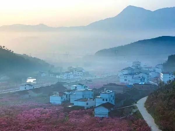 福建的这些小镇上榜中国特色小(城)镇50强,你去过吗?