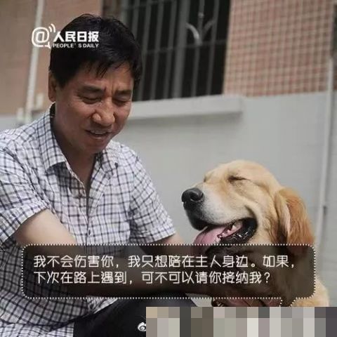 男子地铁不听劝阻多次骚扰导盲犬