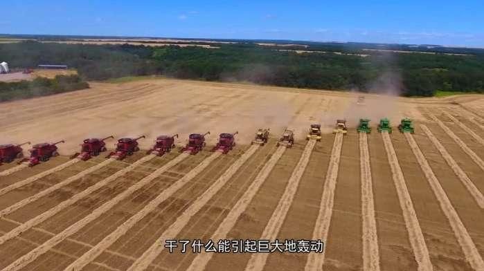 中国山东一夜之间大面积消失一种生物 真相曝光后俄罗斯却尴尬了