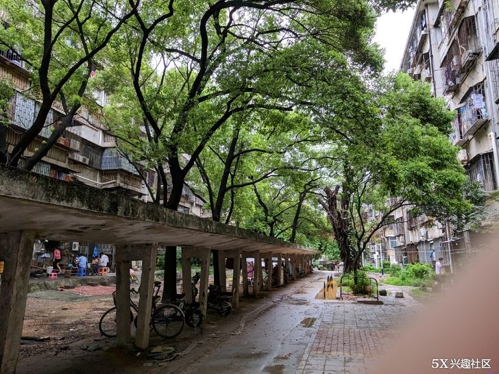 鸡血三星note8智斗华为P20PRO!拍照!