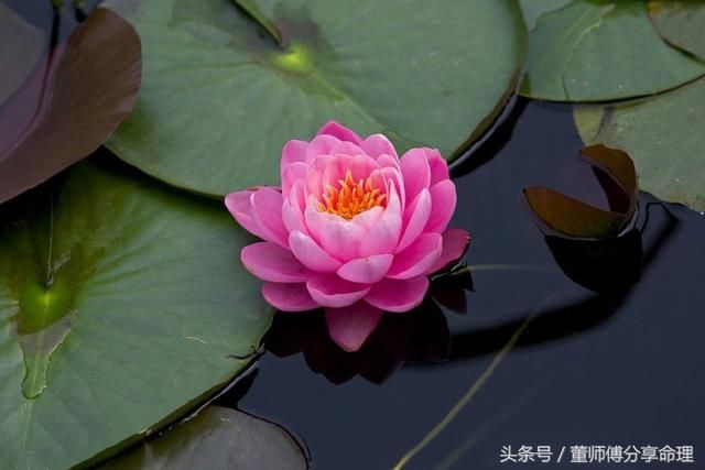 冤亲债主讨债的预兆和典型表现