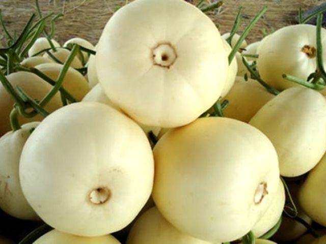 陕西蒲城 西甜瓜最新价格行情一览,等你来收购