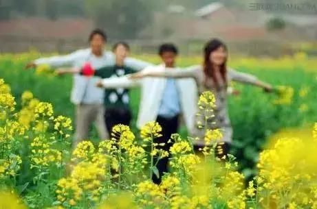 清明节踏青出游大数据，这10个地方即将人山人海！