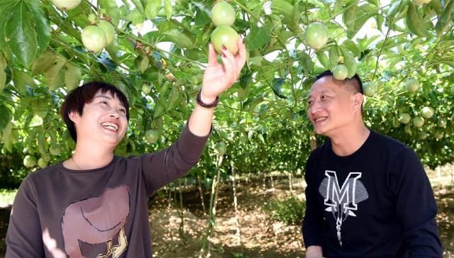 食品发展的前景
