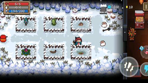 元气骑士:小花园大学问,10种永续种子的秘密,你