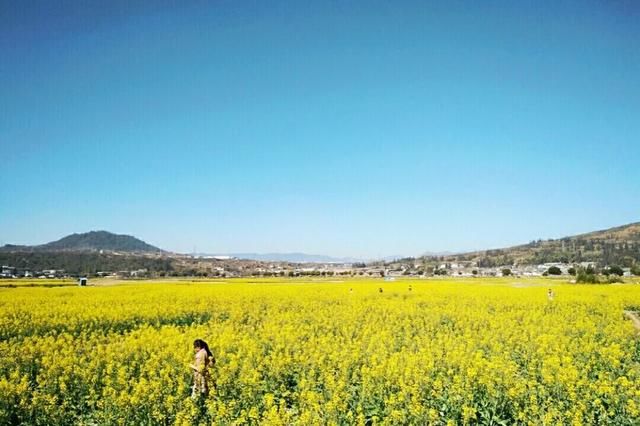 3月最佳旅行地 | 中国最美的春天都在这里了~