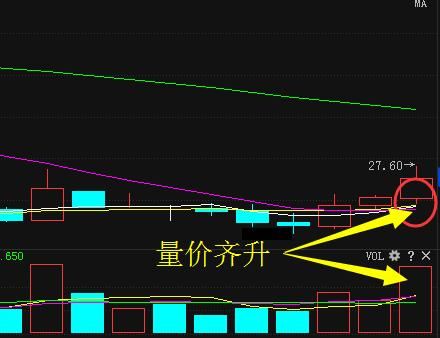 次新股第一龙头49跌至2元，年报暴增2598%，18年有望赶超东方嘉盛