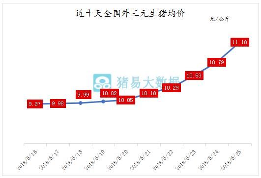 猪价涨势迅猛！有地区上涨0.75元