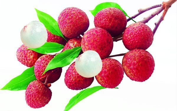 当红女星比作水果，Angelababy是樱桃赵丽颖是葡萄，贾玲的想不到_【快资讯】