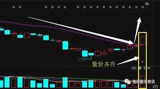 洛阳钼业--中国A股被严重低估的独角兽