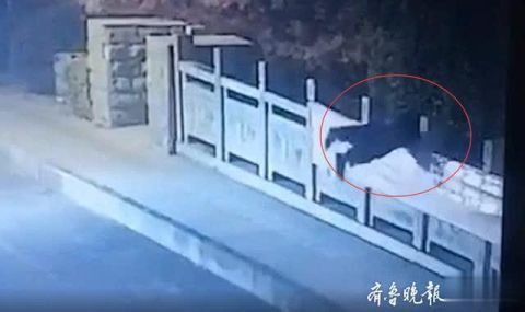 山东救人小伙张雪岭