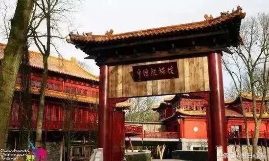 熊猫在世界深受喜爱 美国网友要用此人换熊猫