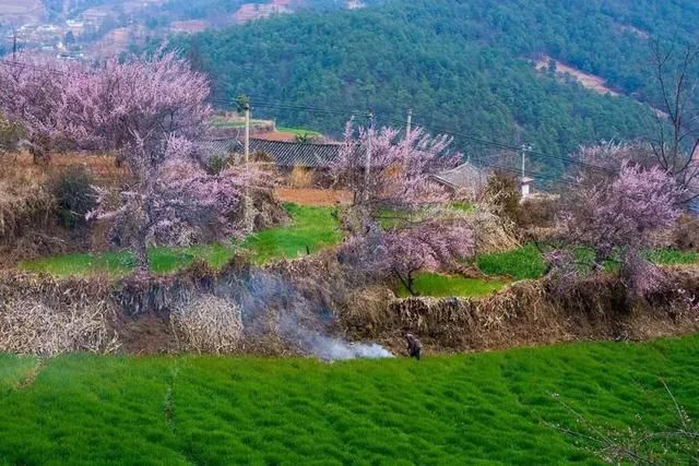 3月，美的不仅是丽江，更是丽江旁边的这座小城！