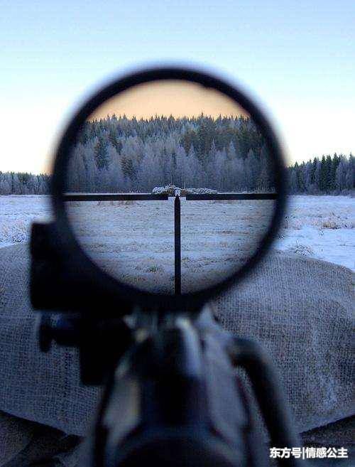 你心中二战最好的栓式步枪是哪一把?98k输给