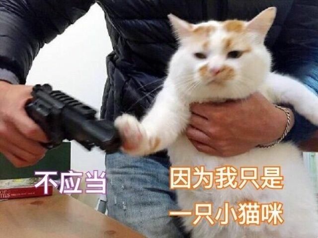 t0196e3ed1e5b0128db.jpg