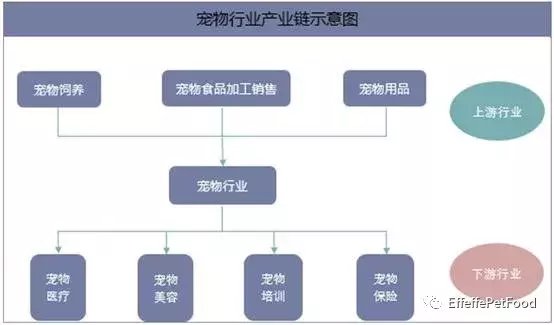 宠物用品经济总量_世界经济总量图片(2)