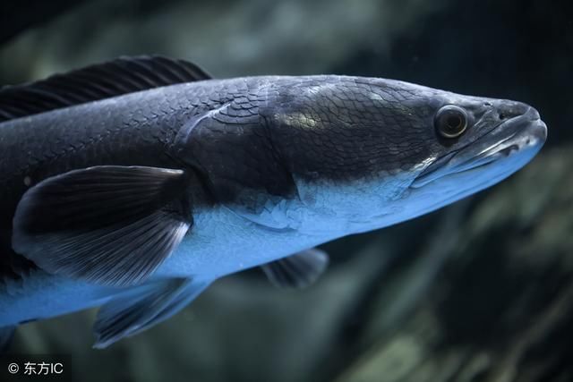 五一旅游“农家乐”常用手法，你知道吗？坑到你了吧？