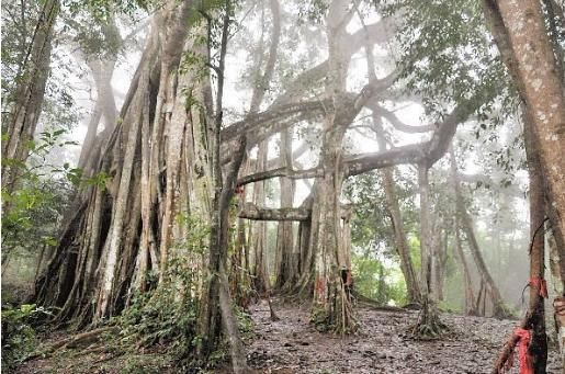 读资治通鉴札记578 从战争和民生的关系论述闽