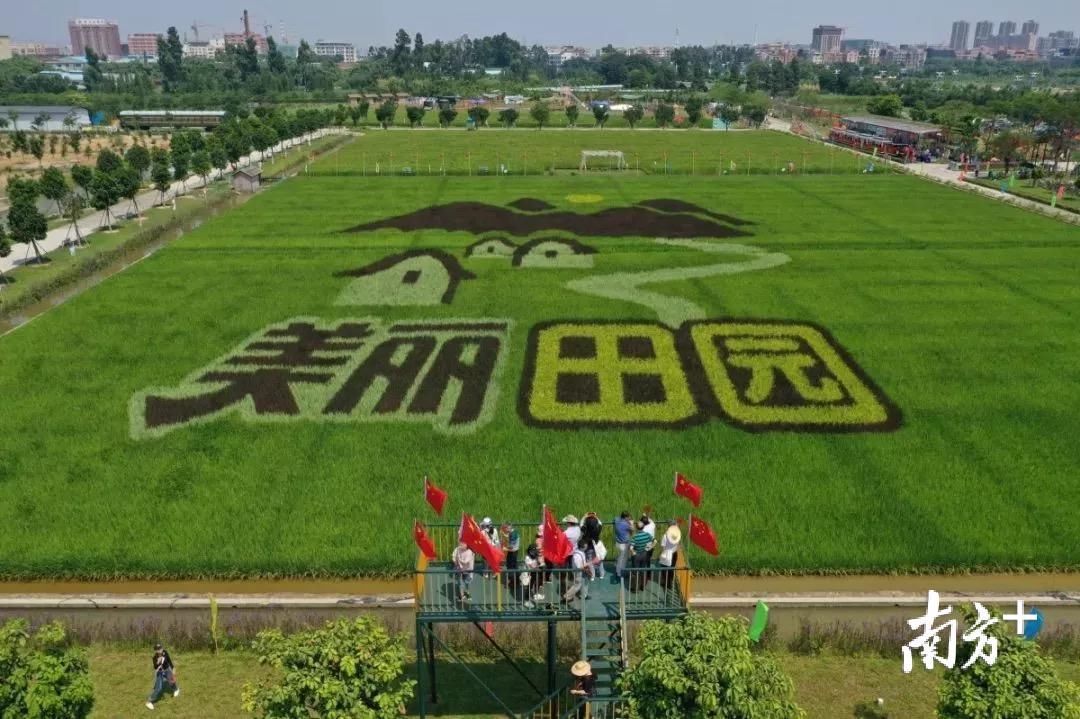 农村振兴组织振兴