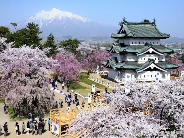 活用JR PASS，省钱游遍日本秋田青森樱花百选之地