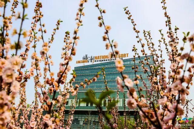 春满中国 醉西安｜春游好去处：在临潼度假区芷阳广场听见花开的