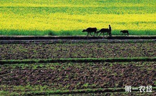 农村土地退出有补偿吗？2018年国家农村土地退出政策解析