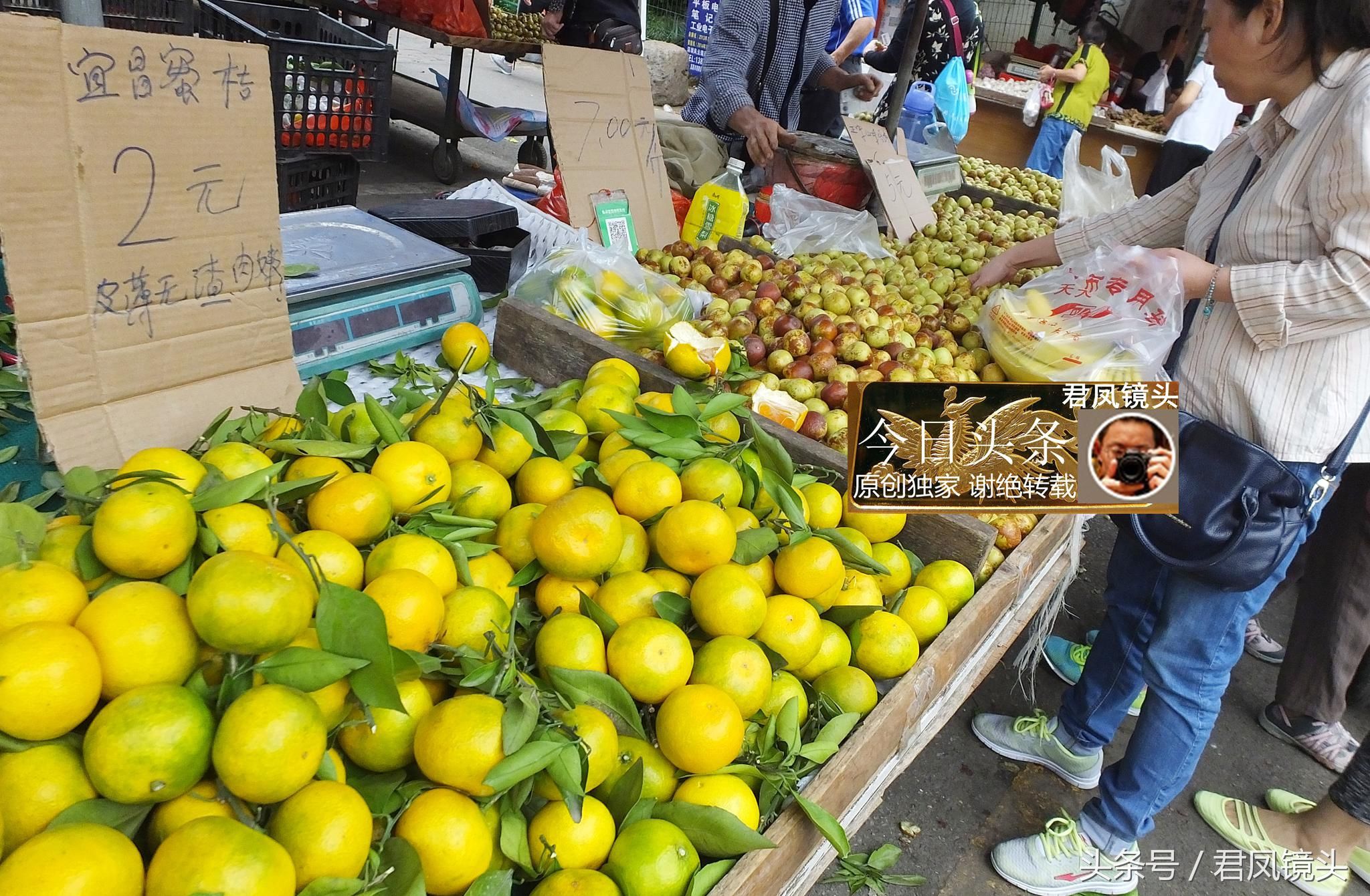 湖北宜昌:葛洲坝菜市场,农民种植的柑橘售价1