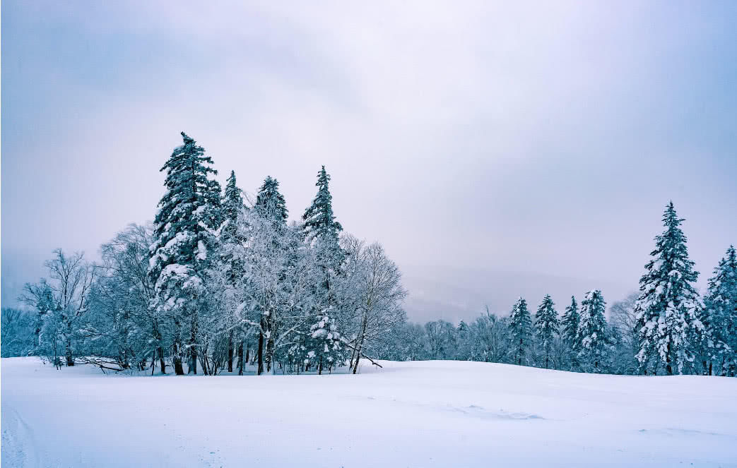 川藏线最新租车流程，老司机倾囊相授！