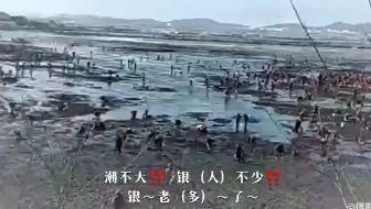 央视曝光!这种豆浆大连人千万别喝,会中毒!赶紧告诉家人|新闻日