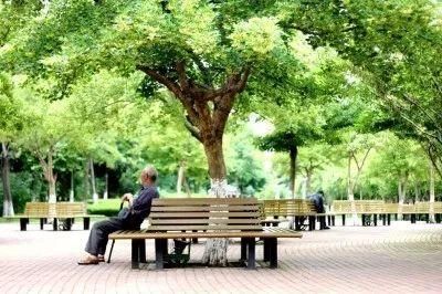 转给爸妈!甘肃省多项政策力助老年人安度晚年