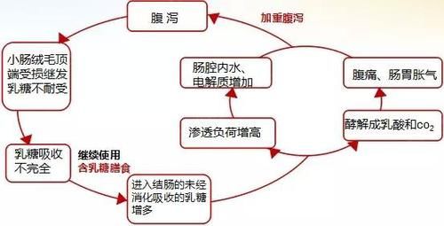 商标注册号在哪里看