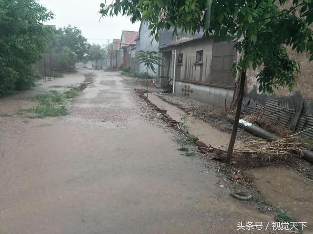 山东滨州城乡遭遇强降雨 阳信农村瞬间成河